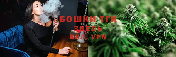 шишки Аркадак