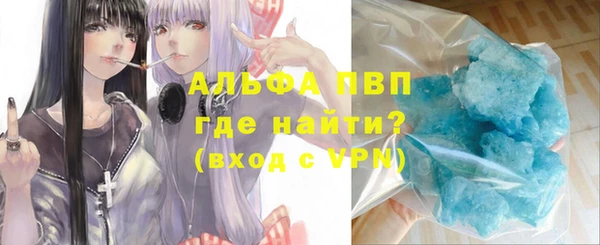 шишки Аркадак