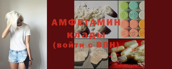 шишки Аркадак