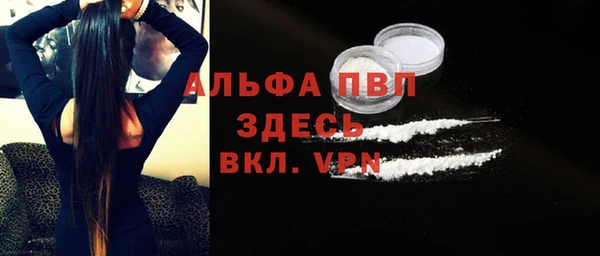 шишки Аркадак