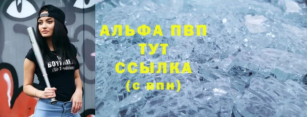 шишки Аркадак