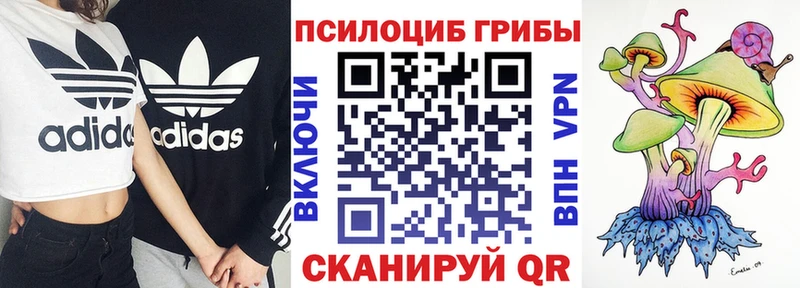 что такое   Фурманов  Псилоцибиновые грибы MAGIC MUSHROOMS 